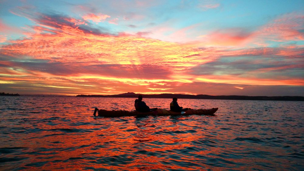 Waiheke Island – Top things to do